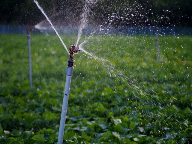 噴霧灌漑（スプリンクラー灌漑）