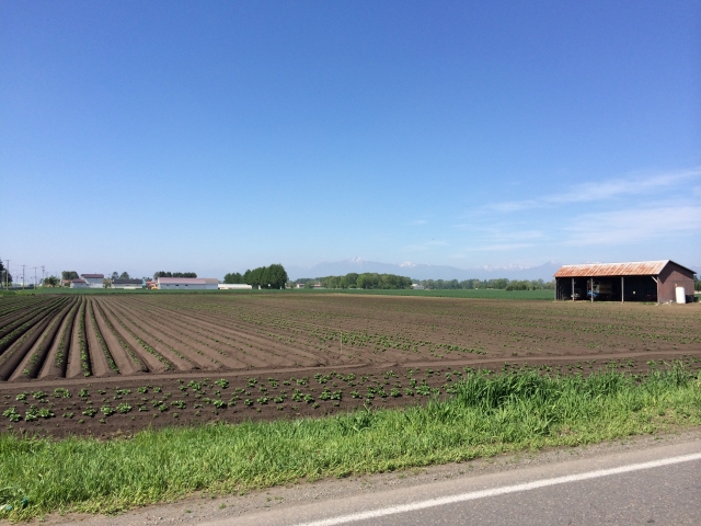 水田灌漑と畑地灌漑