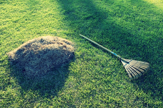 レーキ型除塵機