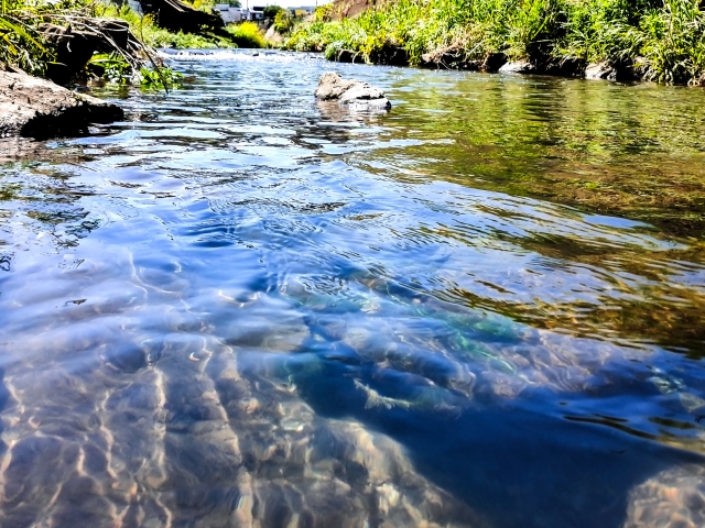 渦巻ポンプとは