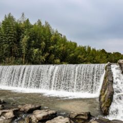 頭首工ゲート種類